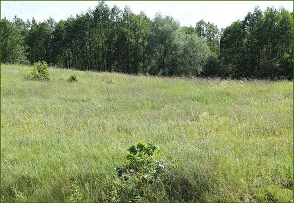 Wywoźnia — fotografia